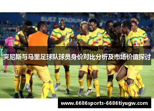 突尼斯与马里足球队球员身价对比分析及市场价值探讨